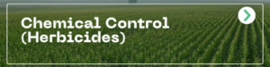 Chemical Control (Herbicides)
