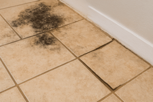 mold and warped tiles on the floor show severe moisture trouble.